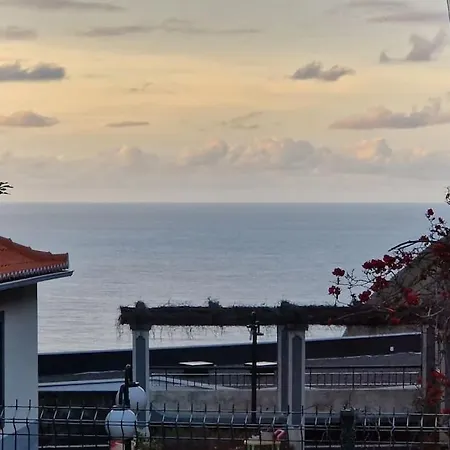 Bungalow In Natural Paradise * São Vicente